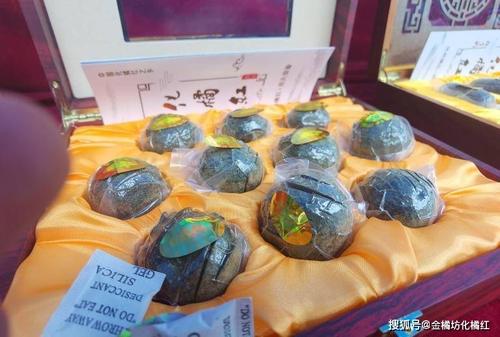 化州舉辦化橘紅文化藝術(shù)交流暨封壇活動(dòng) 傳承千年文化，共襄盛舉
